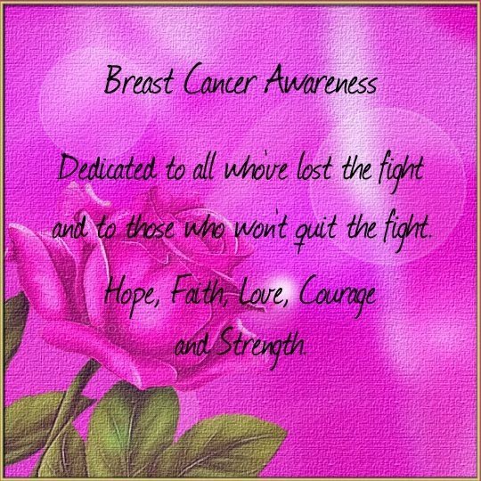 2025 NASCAR Breast Cancer Awarness Observance